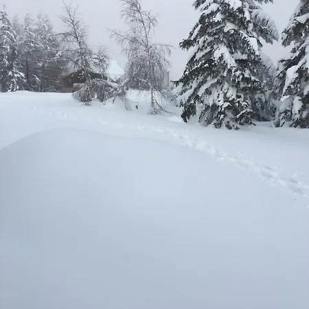 Mirastelle Bed & Breakfast Pretoro