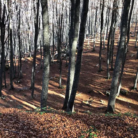 Mirastelle Bed & Breakfast 3*