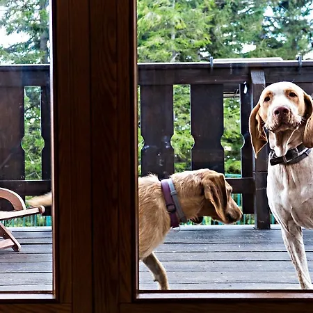 Mirastelle 3* Pretoro