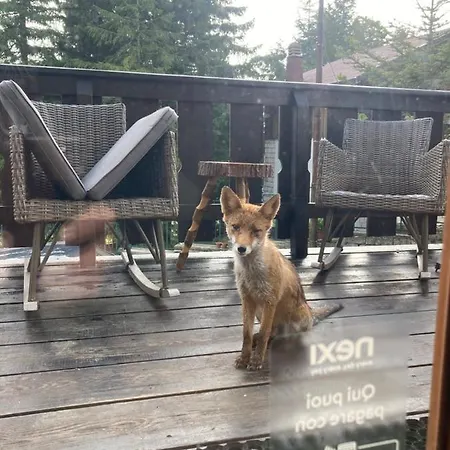 Bed & Breakfast Mirastelle 3*