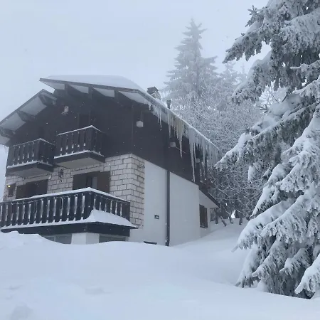 Mirastelle