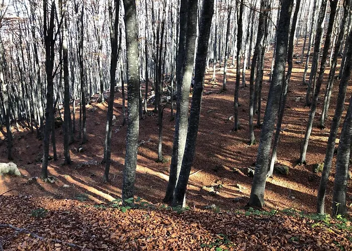 Mirastelle Bed & Breakfast 3*