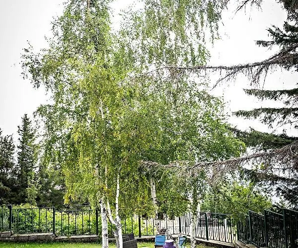 Mirastelle Bed & Breakfast Pretoro