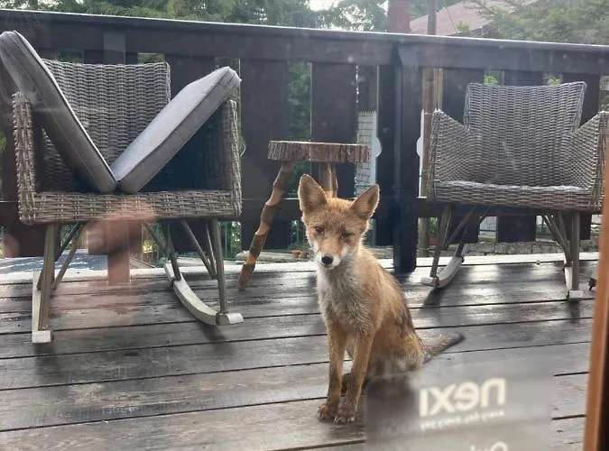 Bed & Breakfast Mirastelle 3*